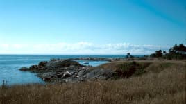 Discovery Island Marine Park