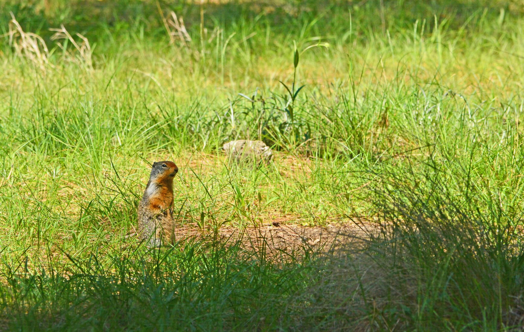 Kettle River Recreation Area