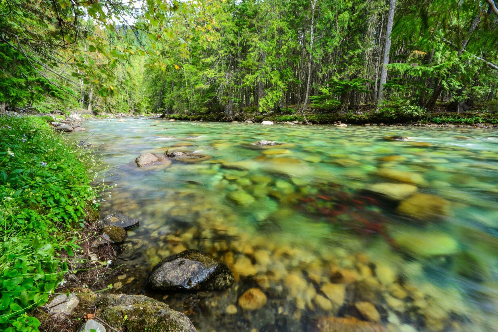 Rosebery Provincial Park