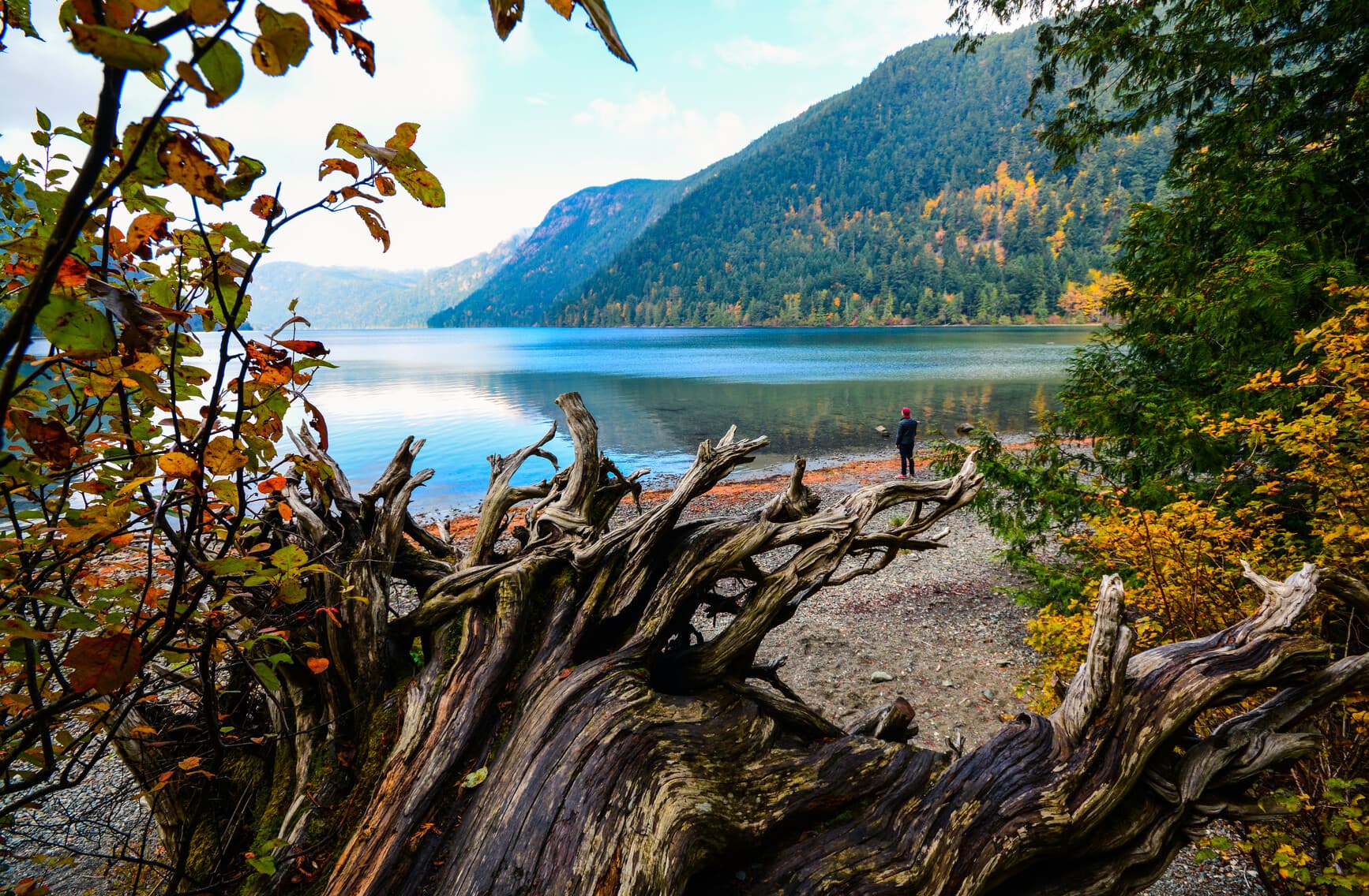 Little Qualicum Falls Provincial Park
