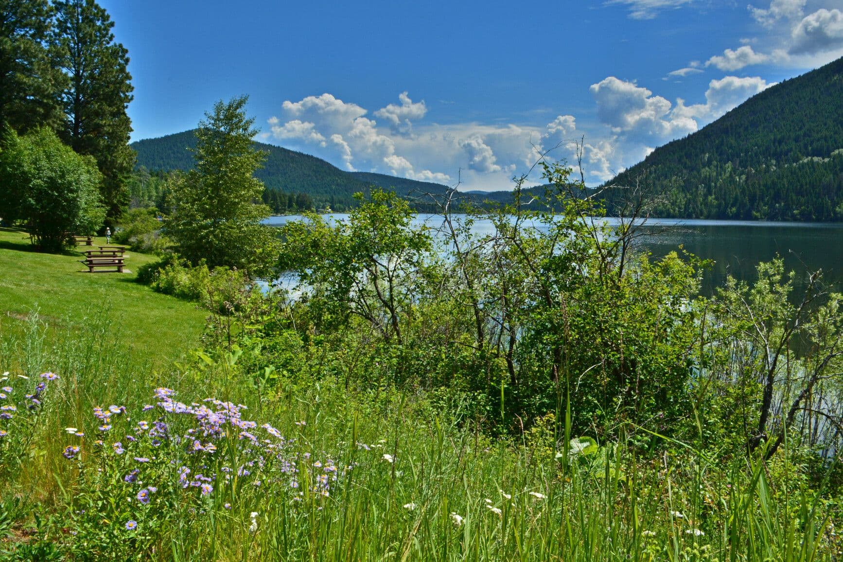 Paul Lake Provincial Park