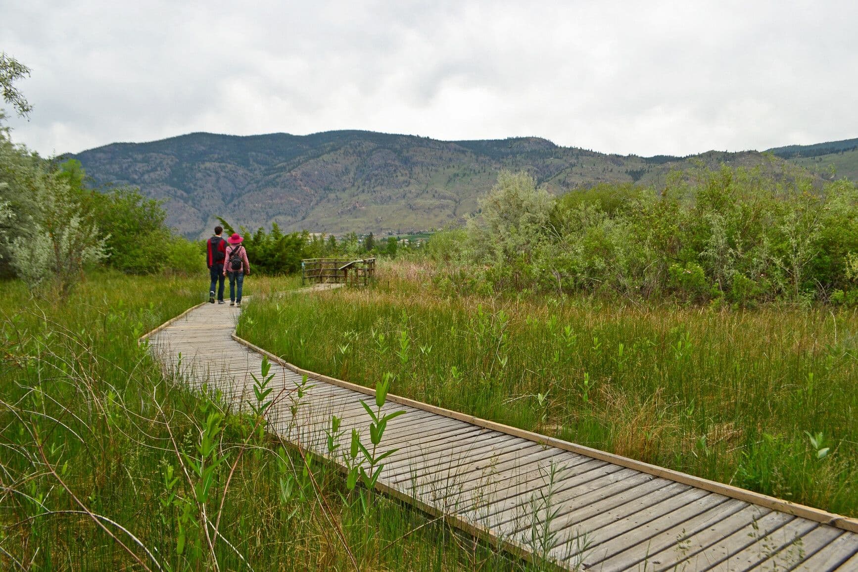 sẁiẁs Provincial Park (Haynes Point)