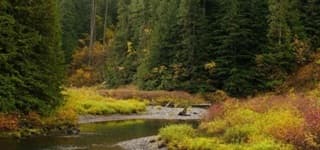 E. C. Manning Provincial Park