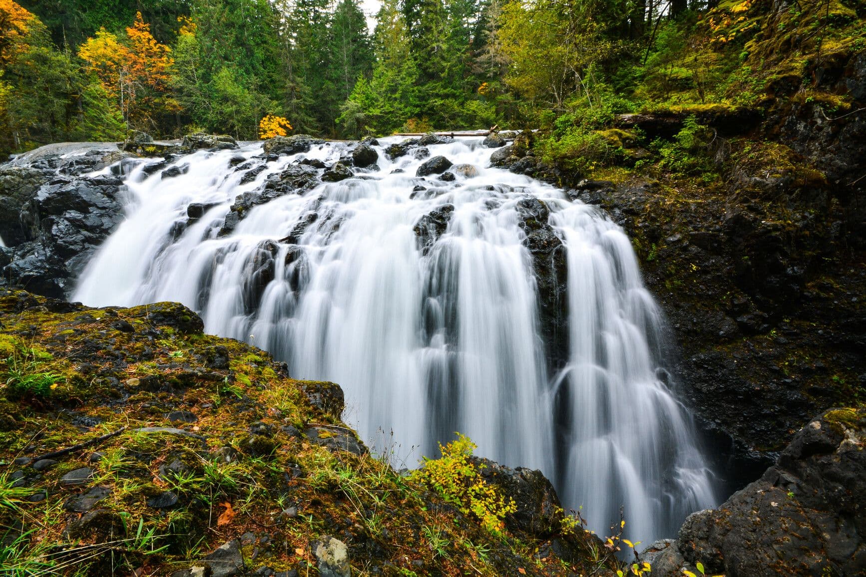 Englishman River Falls Provincial Park