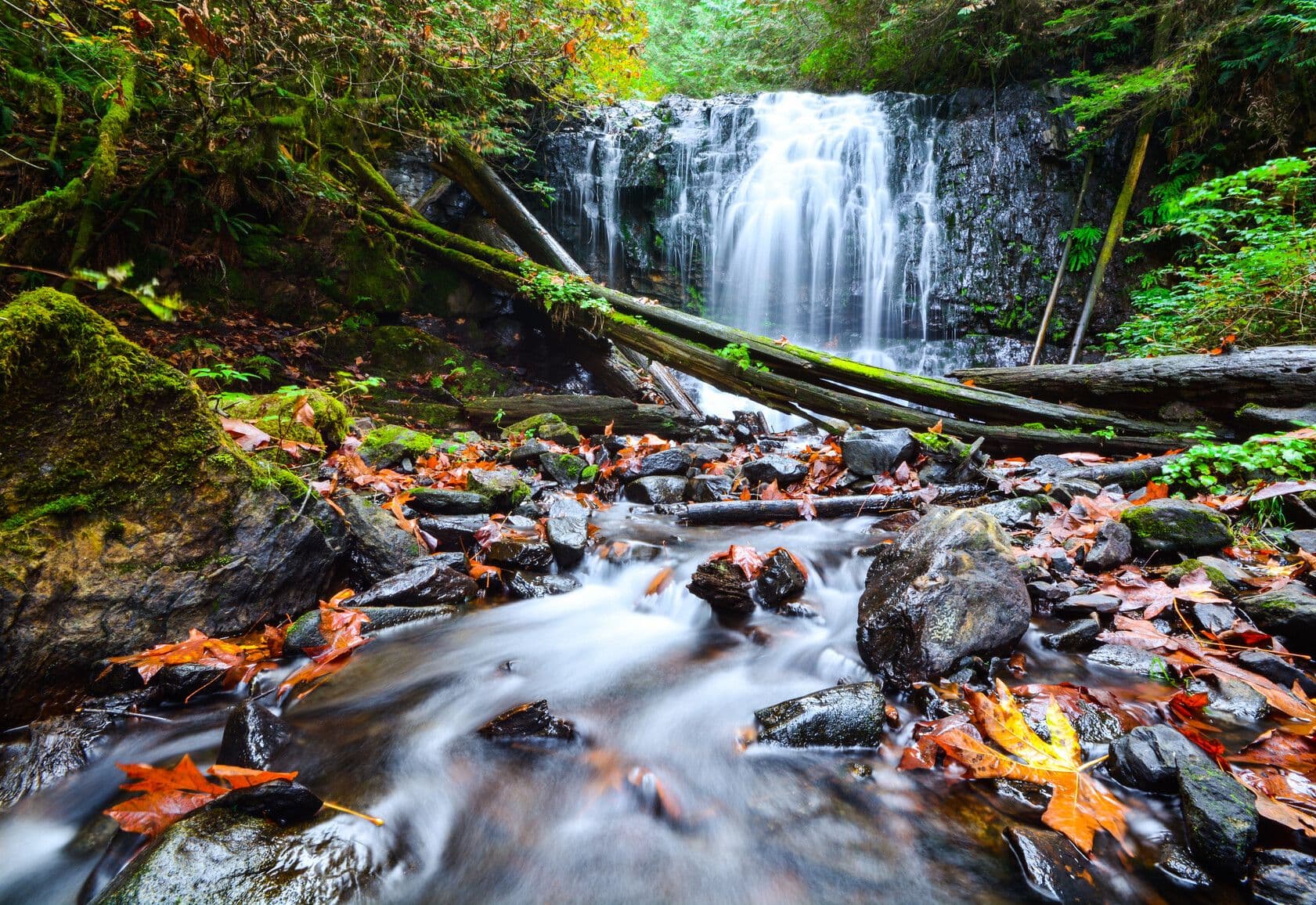 Sasquatch Provincial Park