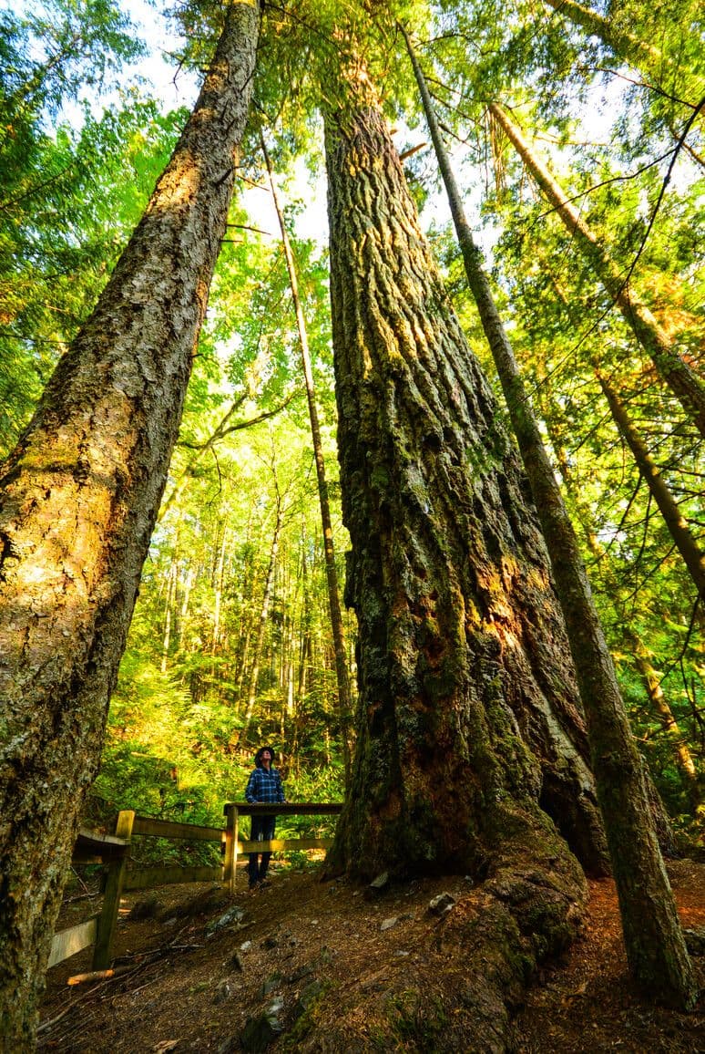 Cultus Lake Provincial Park